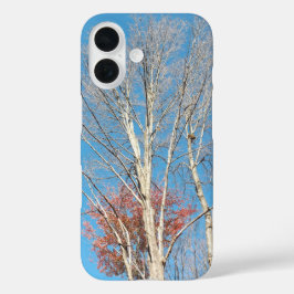 Barren Trees iPhone 16 Hoesje