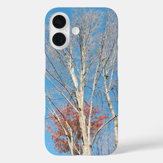 Barren Trees Case-Mate iPhone Case (Achterkant)