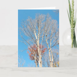 Barren Trees Kaart
