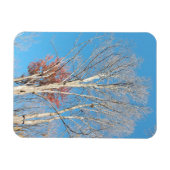 Barren Trees Magneet (Horizontaal)