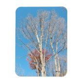 Barren Trees Magneet (Verticaal)