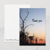Barren Trees op zonsondergang in de lente Dank je Bedankkaart (Voorkant / Achterkant)