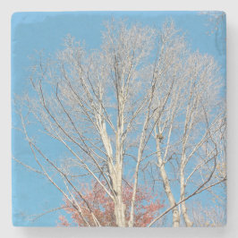 Barren Trees Stenen Onderzetter