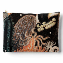 Barrier Reef Anemones