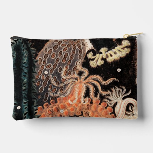 Barrier Reef Anemones Etui (Achterkant)