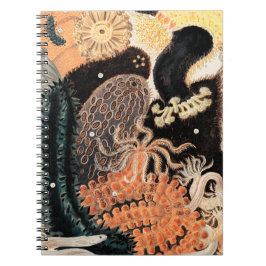 Barrier Reef Anemones Notitieboek