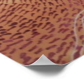 Barrier Reef Dreaming Poster (Hoek)