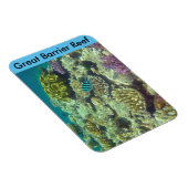 barrièrekoraal magneet (Rechterzijde)