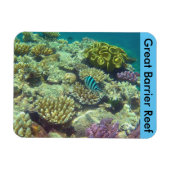 barrièrekoraal magneet (Horizontaal)