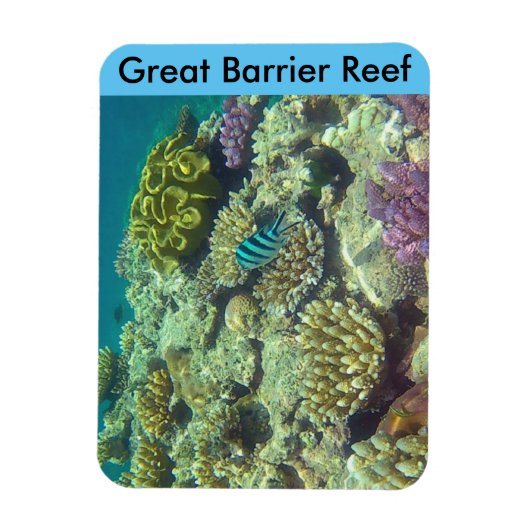 barrièrekoraal magneet (Verticaal)