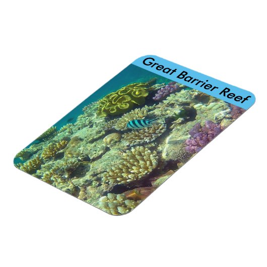 barrièrekoraal magneet (Linkerzijde)