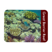 barrièrerif magneet (Horizontaal)