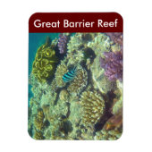 barrièrerif magneet (Verticaal)