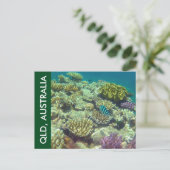 barrièrerif queensland briefkaart (Staand voorkant)