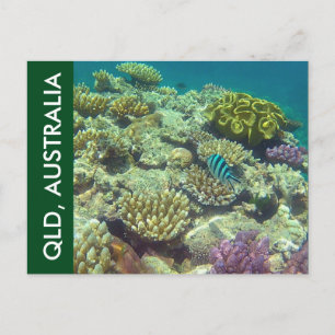 barrièrerif queensland briefkaart