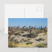 Barril Beach in Tavira, Algarve. Portugal Briefkaart (Voorkant / Achterkant)