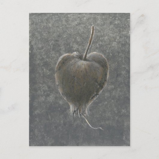 Barringtonia Acutangula 2 Briefkaart (Voorkant)