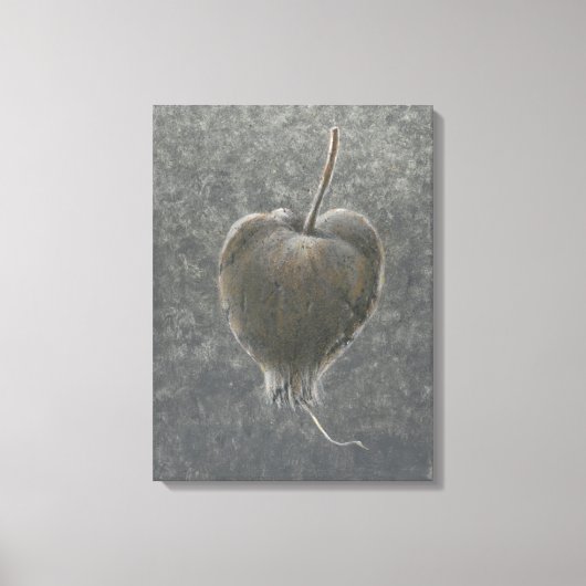 Barringtonia Acutangula 2 Canvas Afdruk (Voorkant)