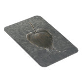 Barringtonia Acutangula 2 Magneet (Rechterzijde)