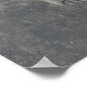 Barringtonia Acutangula 2 Poster (Hoek)