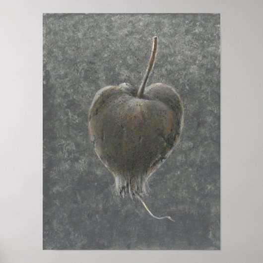 Barringtonia Acutangula 2 Poster (Voorkant)