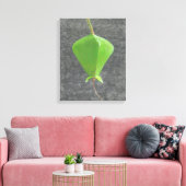 Barringtonia Acutangula Canvas Afdruk (Insitu (Woonkamer))