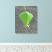 Barringtonia Acutangula Canvas Afdruk (Insitu (Houten vloer))