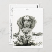 Barron Briefkaart (Voorkant / Achterkant)