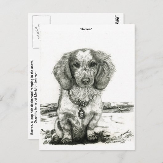 Barron Briefkaart (Voorkant / Achterkant)