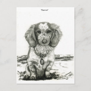Barron Briefkaart