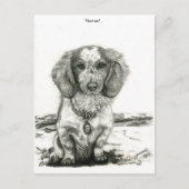 Barron Briefkaart (Voorkant)