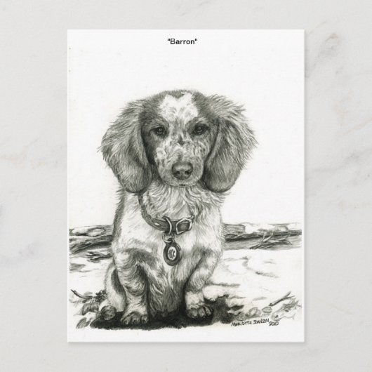 Barron Briefkaart (Voorkant)