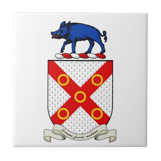 Barron Coat of Arms Tegeltje (Voorkant)
