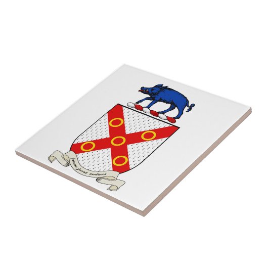 Barron Coat of Arms Tegeltje (Zijkant)