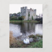 Barrow River Swan, White's Castle Athy Co. Kildare Briefkaart (Voorkant)