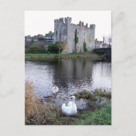 Barrow River Swan, White's Castle Athy Co. Kildare Briefkaart
