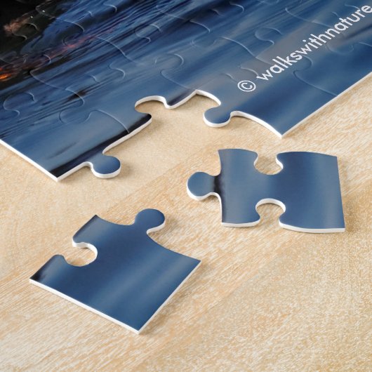 Barrow's Goldeneye Ducks op Stanley Park Seawall Legpuzzel (Zijkant)