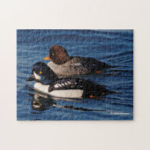 Barrow's Goldeneye Ducks op Stanley Park Seawall Legpuzzel (Horizontaal)