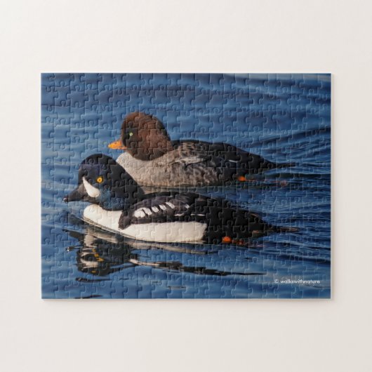 Barrow's Goldeneye Ducks op Stanley Park Seawall Legpuzzel (Horizontaal)