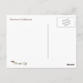 Barrows Goldeneye Wildlife Series # 16 Briefkaart (Achterkant)