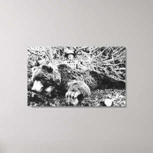 Barr's Beer van meer dan 10 meter lang, Alaska Canvas Afdruk