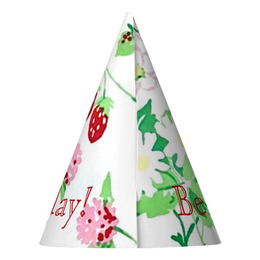 Barry Happy Birthday Party Pet Feesthoedjes (Achterkant)