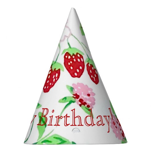 Barry Happy Birthday Party Pet Feesthoedjes (Rechts)