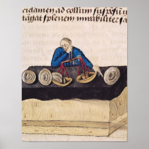 Bars van Camphor Poster