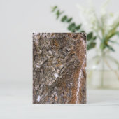 Barstboom Briefkaart (Staand voorkant)