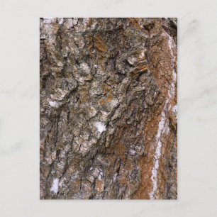 Barstboom Briefkaart