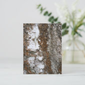 Barstboom Briefkaart (Staand voorkant)