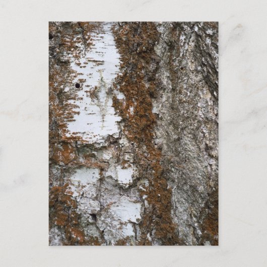 Barstboom Briefkaart (Voorkant)