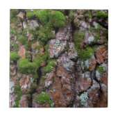 Barstboom Tegeltje (Voorkant)