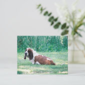 Bart the Basset Hound Briefkaart 3 (Staand voorkant)